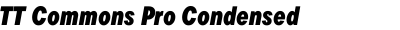 TT Commons Pro Condensed ExtraBlack Italic